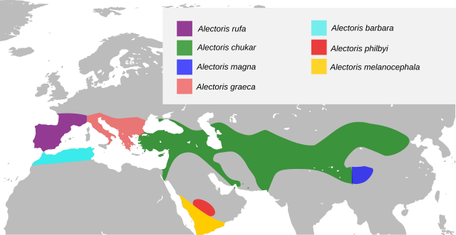 Distribuado de la Araba perdriko en flava koloro plej sude, dum la aliaj parencoj montras aliajn kolorojn.