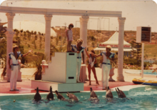 Атлантида дельфины 1980s.png