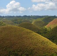 Chocolate Hills