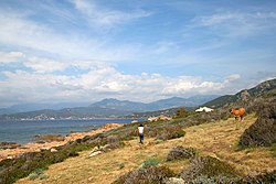 Skyline of Calcatoggio