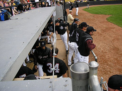 Calgary Vipers dugout