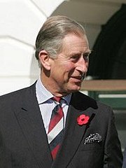 Le prince Charles portant le poppy à la boutonnière, le 2 novembre 2005.