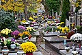 Friedhof Czerniaków