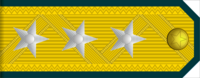 Знак различия генерал-полковника (полиция Северной Кореи) .png