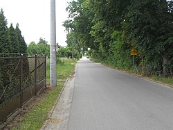 Road in Dąbrowa Gmina Siennica
