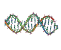 Thumbnail for DNA profiling