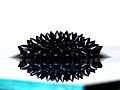 pl:Ferrofluid