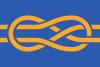 Flag of FIAV.svg