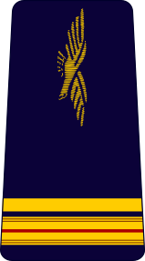 File:French Air Force-major.svg