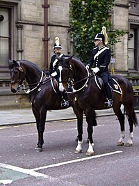 formal police uniform