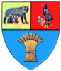 Coat of arms of Județul Cluj