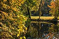 Kašparovo jezero - slepé rameno řeky Orlice