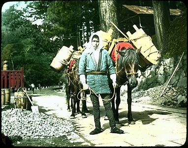 Man in local attire with loaded packhorses