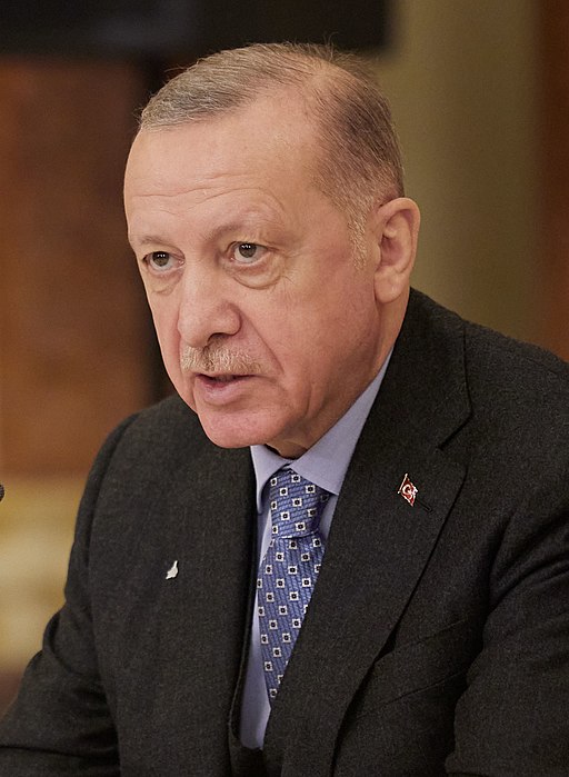 Meeting between the President of a Republic of Turkey in addition to President of Ukraine in 2022 (7) (cropped).jpg