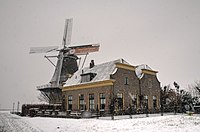 Molen De Zwaluw, Hasselt (Overijssel) - Winter bij de molen