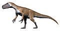 Murusraptor