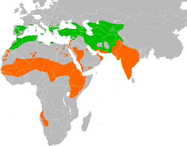 Mapa występowania