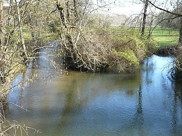 La Nizonne en amont du pont de la RD 25.