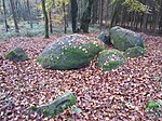 Großsteingrab Oldendorfer Hünensteine