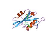 1o46​: Kristalna struktura -{SH2}- u kompleksu sa -{RU90395}-.