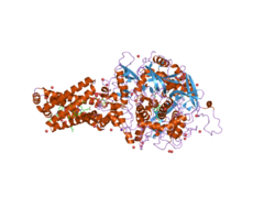 PDB 2h89 EBI.png