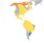 Pluvialis dominica – Verbreitung