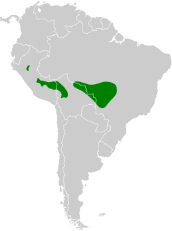 Distribución geográfica del soterillo parloteador.