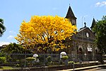 Miniatura para Cantón de Flores