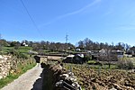 Miniatura para San Martín (Viana del Bollo)