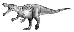 Elaf Siuchomimus tenerensis