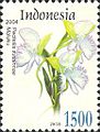 ID029.04, 5 January 2004, Flora - Pecteilis susannae