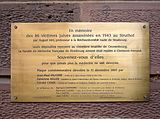 Memorial plaque at the Institute of Anatomy, University of Strasbourg
