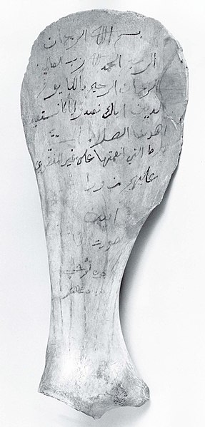 File:Surat al-Fatiha inscribed upon the shoulder blade of a camel.jpg