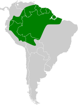 Distribución geográfica del picoplano aliamarillo.