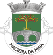 Vlag van Macieira da Maia