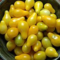 Sarı armut domates