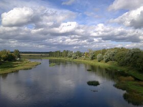 Wiks va Mologa kuksa