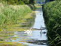 Groenewoudse Tocht