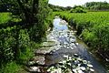 Nationaal Landschap Drentsche Aa