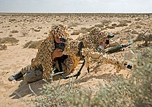 A Dutch ISAF sniper team displaying their Accuracy International AWSM .338 Lapua Magnum rifle and VECTOR IV Leica/Vectronix laser rangefinder binoculars AI AWSM .338 Lap. Mag. Dutch ISAF sniper team.jpg