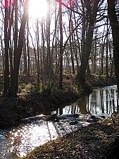 De beek de Groote Beerze, welke zojuist de gemeente Bladel verlaten heeft ter hoogte van de Aardbossen. De beek vormt samen met de laaglandbeken Kleine Beerze en Reusel onderdeel van het Natura 2000 gebied Kempenland-West en doorkruisen de Midden-Brabantse dekzandrug.