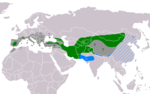 Distribució del voltor negre