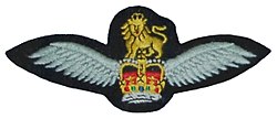 Army Air Corps brevet.jpg