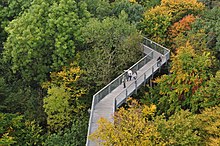 Baumkronenpfad im Nationalpark Hainich