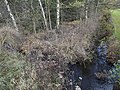 Ursprung des Bruchbachs bei Altensalzkoth – von links der Sunderbach, rechts der Kohlenbach