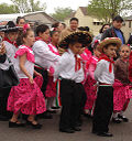 Miniatuur voor Cinco de mayo