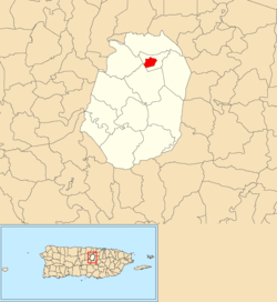 Location of Corozal barrio-pueblo within the municipality of Corozal shown in red