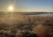 A photo of Eagle Marsh on a cold sunny morning, facing towards a pond and looking at frost covered grasses.