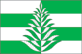 Флаг сельского поселения Белавинское