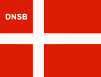 Флаг партии ДНСБ (альтернативный)